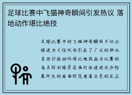 足球比赛中飞猫神奇瞬间引发热议 落地动作堪比绝技