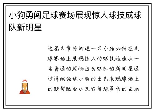 小狗勇闯足球赛场展现惊人球技成球队新明星