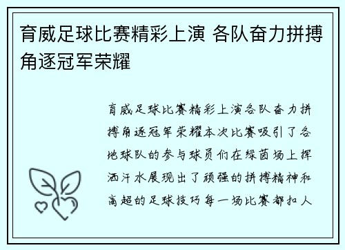 育威足球比赛精彩上演 各队奋力拼搏角逐冠军荣耀