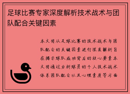 足球比赛专家深度解析技术战术与团队配合关键因素