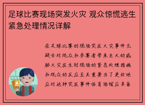 /uploads/images/20250430/zu-qiu-bi-sai-xian-chang-tu-fa-huo-zai-guan-zhong-jing-huang-tao-sheng-jin-ji-chu-li-qing-kuang-xiang-jie.webp