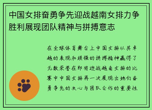 中国女排奋勇争先迎战越南女排力争胜利展现团队精神与拼搏意志